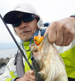 巻きモノ好き必見】ウイードフラット完全対応のバルサクランクって