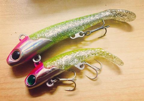 14457499_659521374211000_87842596511735012_n