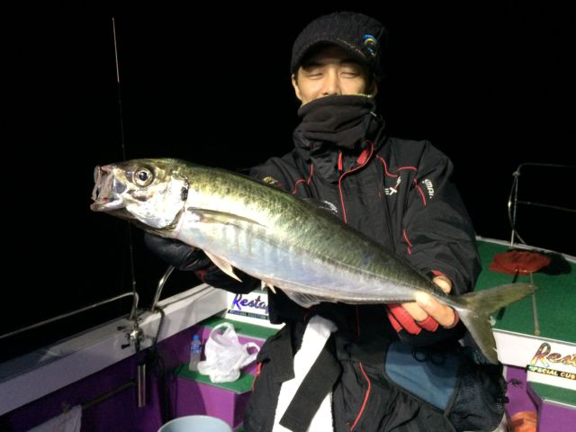 デカすぎるぅうう 56cmのモンスターアジが三重県尾鷲沖のボートアジングで登場 釣りの総合ニュースサイト Lurenewsr ルアーニュース アール