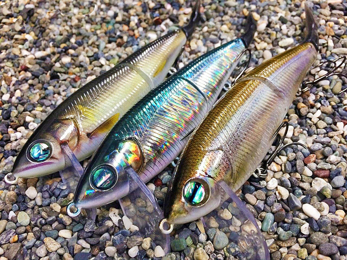 スクープ】「Nekosogi×Imakatsu」超絶コラボの詳細が判明！ WEB限定