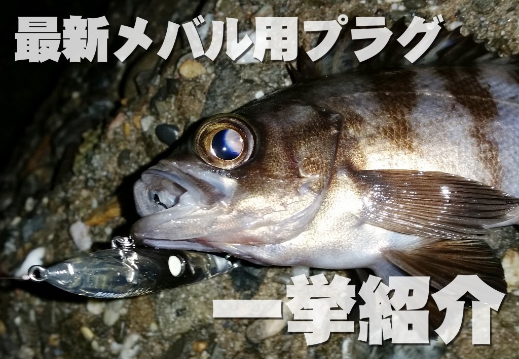 初心者必見】デカメバル攻略に必須！プラッギングにオススメの最新