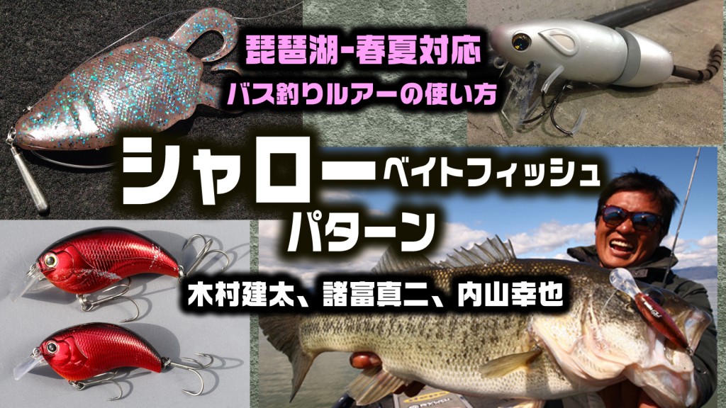 バス釣りルアーの使い方】シャローベイトフィッシュパターン編