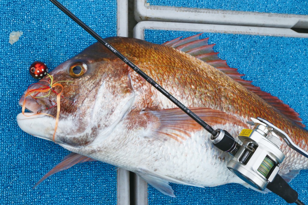 超簡単！イラストから学ぶタイラバ入門ガイド＜永久保存版＞ | 釣りの