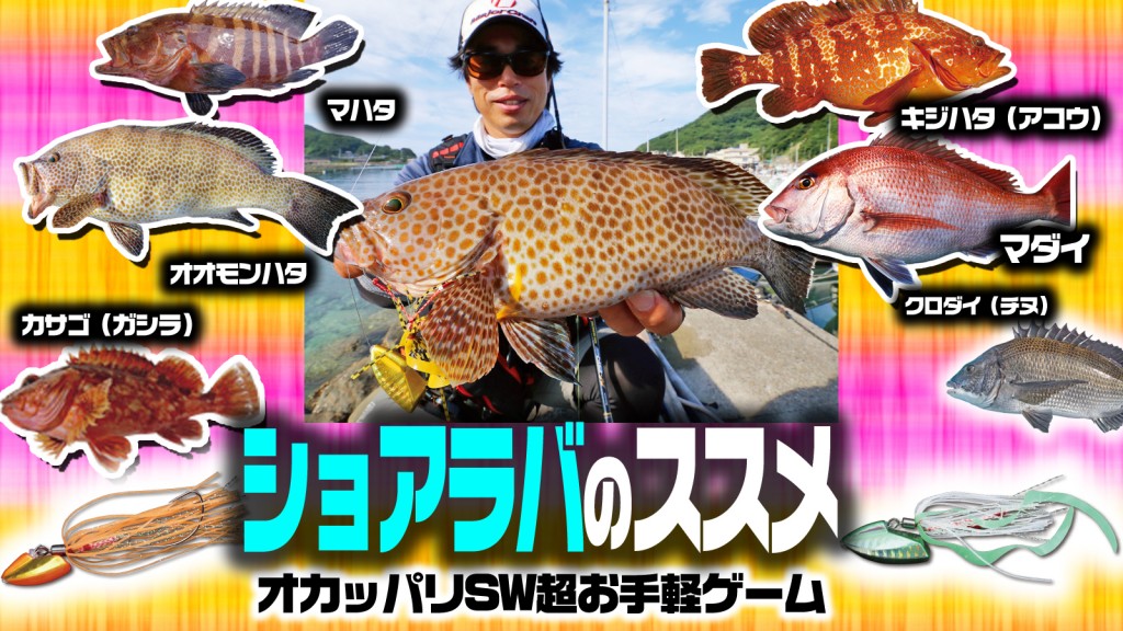 ショアラバゲーム基礎講座】オカッパリから投げて落として巻く