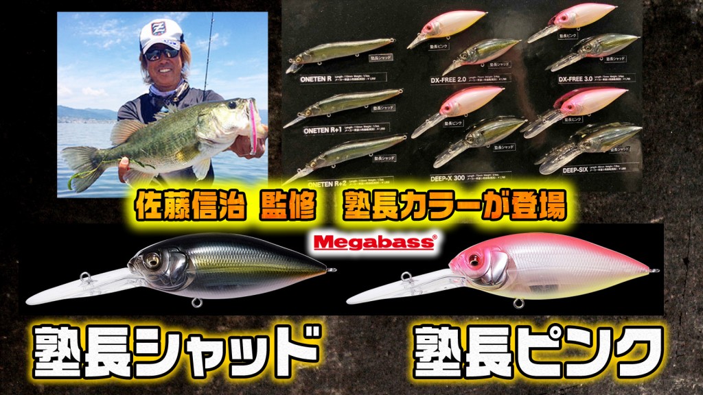メガバス 寿 カラーセット 限定生産 完全受注生産の人気シリーズ！メガバス・リスペクトカラーの最新