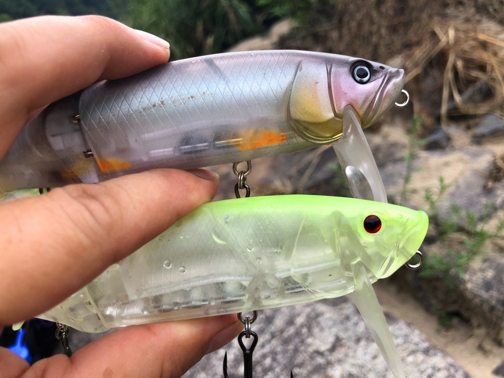 ザリバイブ、ハスフラットなど、、 IMG_2924.jpg