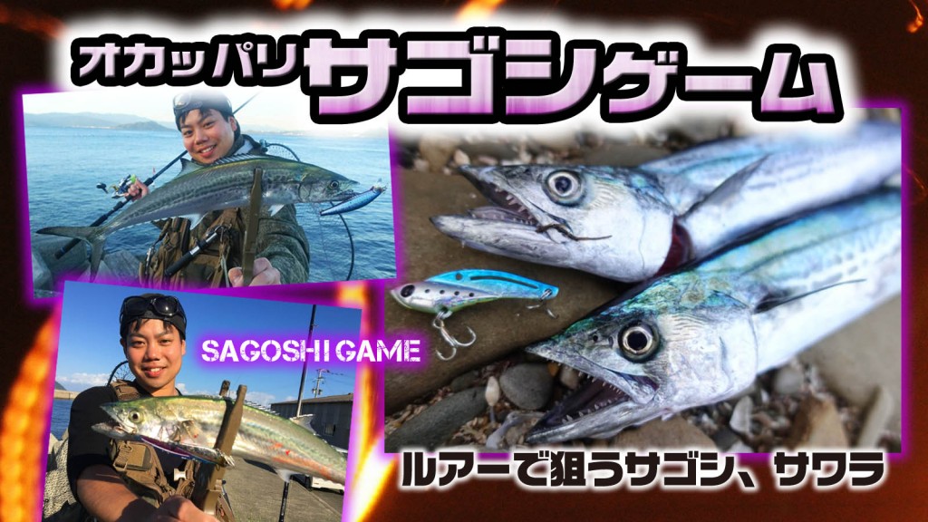 サゴシ サワラ のオカッパリからの釣り方を紹介 ルアーの選び方やタックル選択などノウハウ満載 釣りの総合ニュースサイト Lurenewsr ルアーニュース アール サゴシ サワラ のオカッパリからの釣り方を紹介 ルアーの選び方やタックル選択などノウハウ満載 釣りの総合ニュースサイト Lurenewsr ルアーニュース アール