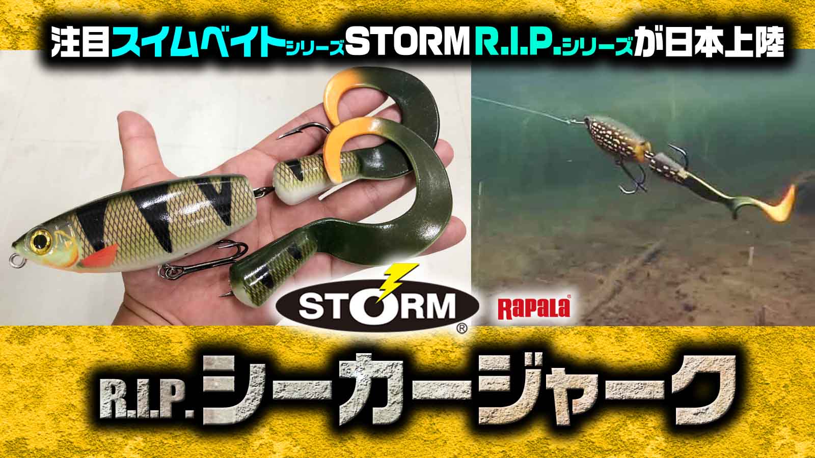 スプロ チャドシャッド ビッグベイト ラパラ ストーム アメリカンルアー ② スプロ チャドシャッド ビッグベイト ラパラ ストーム アメリカン