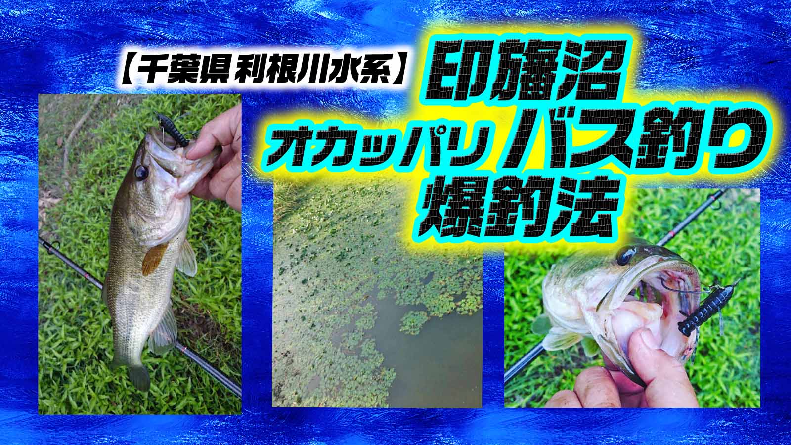 印旛沼水系オカッパリバス釣り オススメ爆釣パターンを紹介 寄稿by糟谷文重 釣りの総合ニュースサイト Lurenewsr ルアーニュース アール