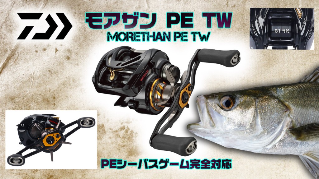 【モアザンPE TW】DAIWAからPE使用のシーバスゲームに完全対応 ...
