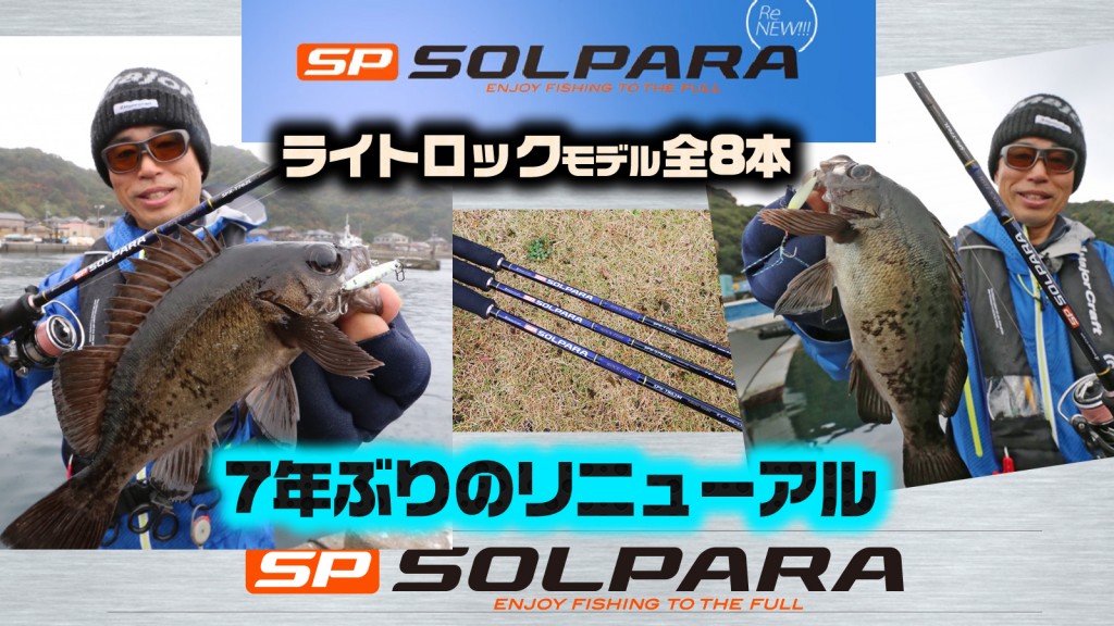 お買い得！カーティス、エアリス RMⅡ 732Sメバル ロック