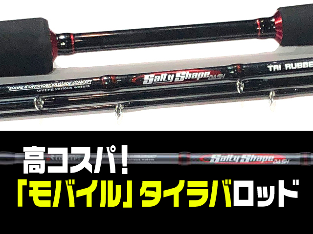 ソルティシェイプダッシュ タイラバ C674M 3-3.jpg