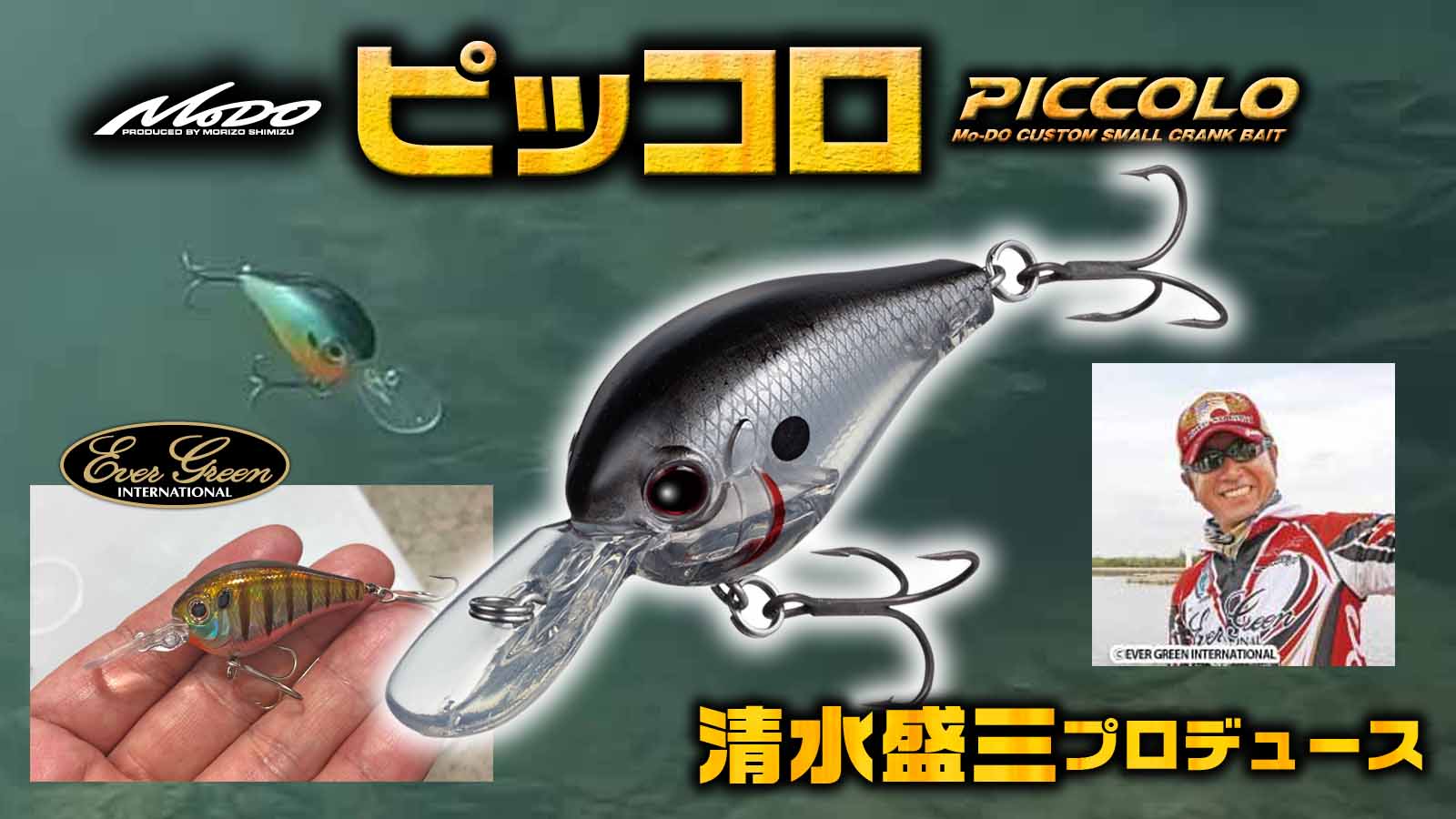 ピッコロ【エバーグリーン】清水盛三が監修！40mmの注目スモール
