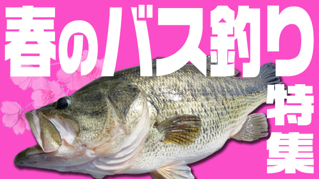 春のバス釣り特集