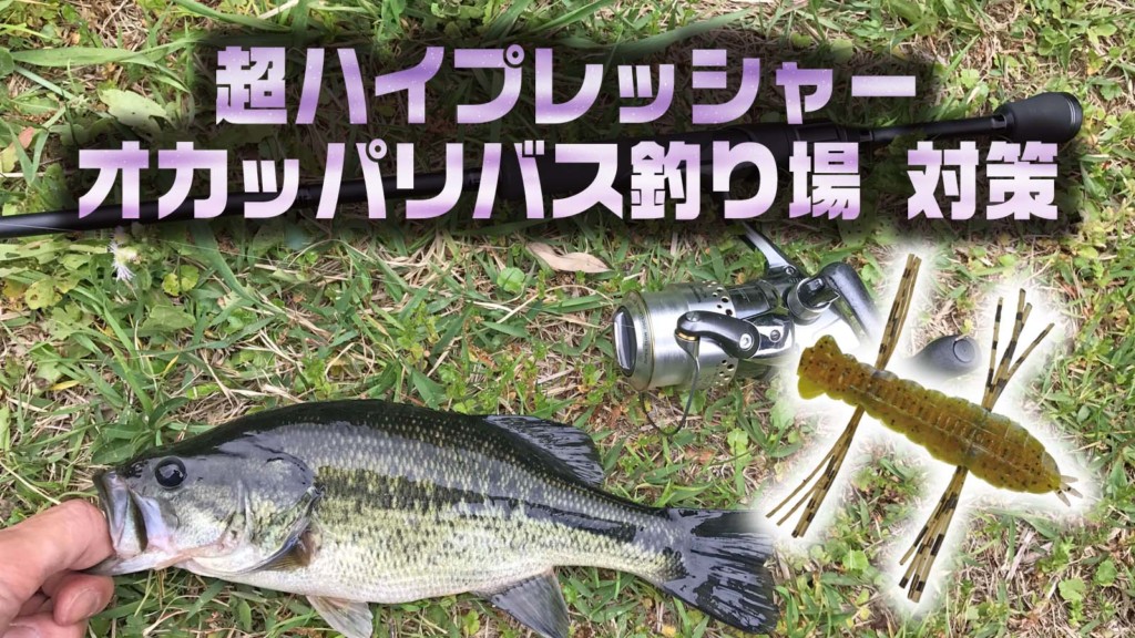 超ハイプレッシャー オカッパリバス釣り場対策【寄稿by横川隼大】沈み ...