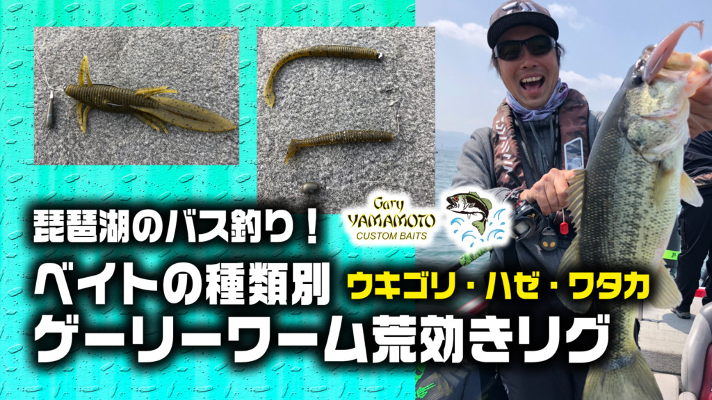 琵琶湖のバス釣り！ベイトフィッシュの種類別【今年の琵琶湖で