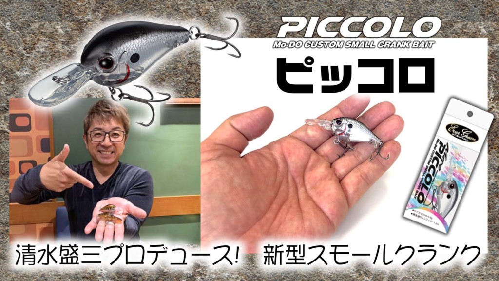 清水盛三プロデュース！ピッコロ【エバーグリーン】MoDOの注目スモール