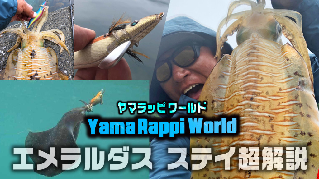 エメラルダス ステイ超解説！デカイカを呼び寄せる秘密とは？【山田