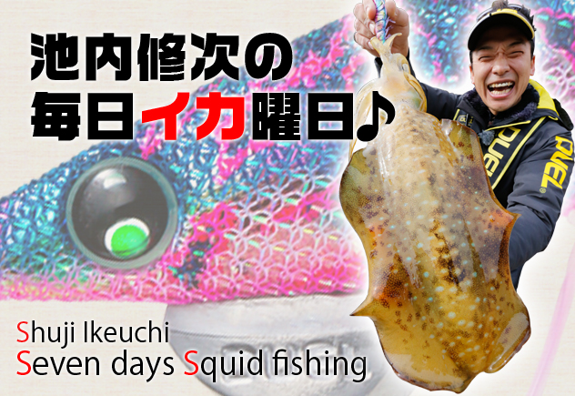 夏イカの楽しさ】新作エギで色々なサイズのアオリイカをキャッチ