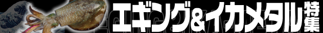 エギング&イカメタル特集2019