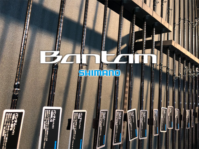 シマノ・Bantam（バンタム）2020年追加モデルまとめ。マイクロスイム