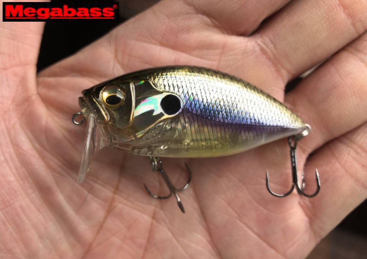 6b5a36332a7cb62a6b37cb6d225aa7