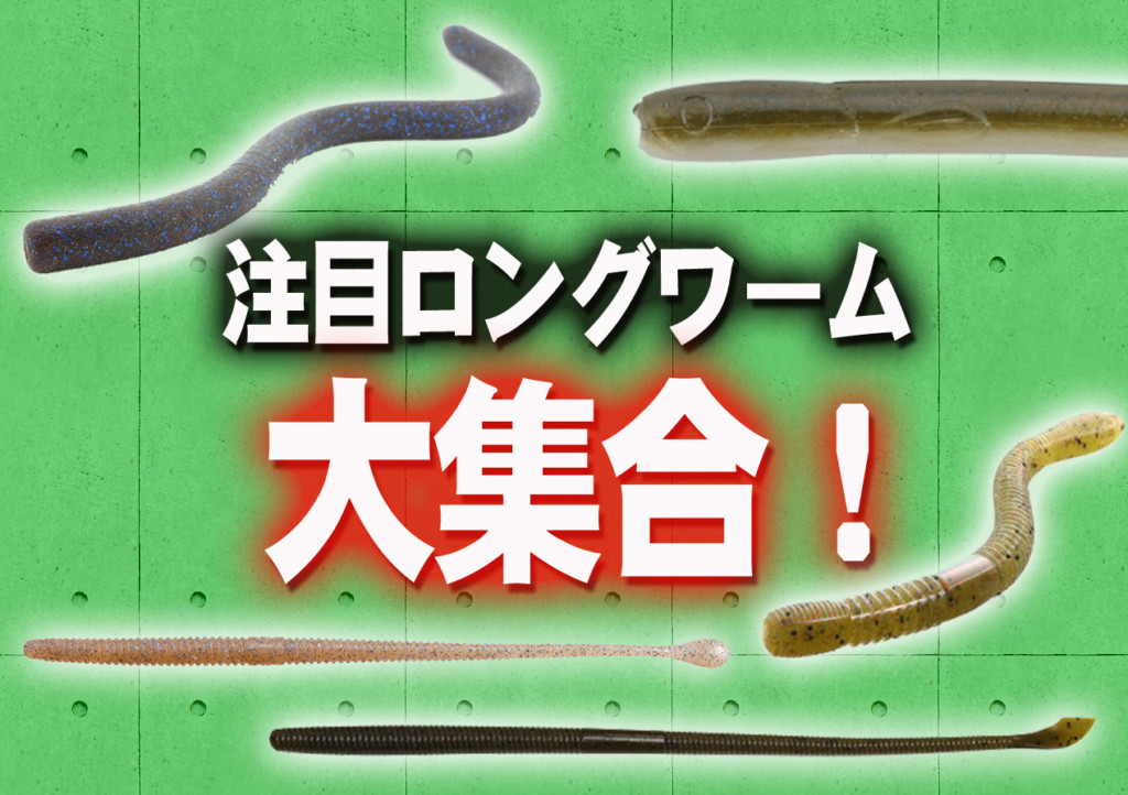 アフター回復から夏にかけて激効き】ロングワームパターンにオススメ