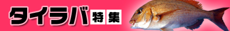 タイラバ特集