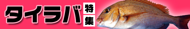 ダイワの最高峰タイラバロッド紅牙EX】「乗せ」と「掛け