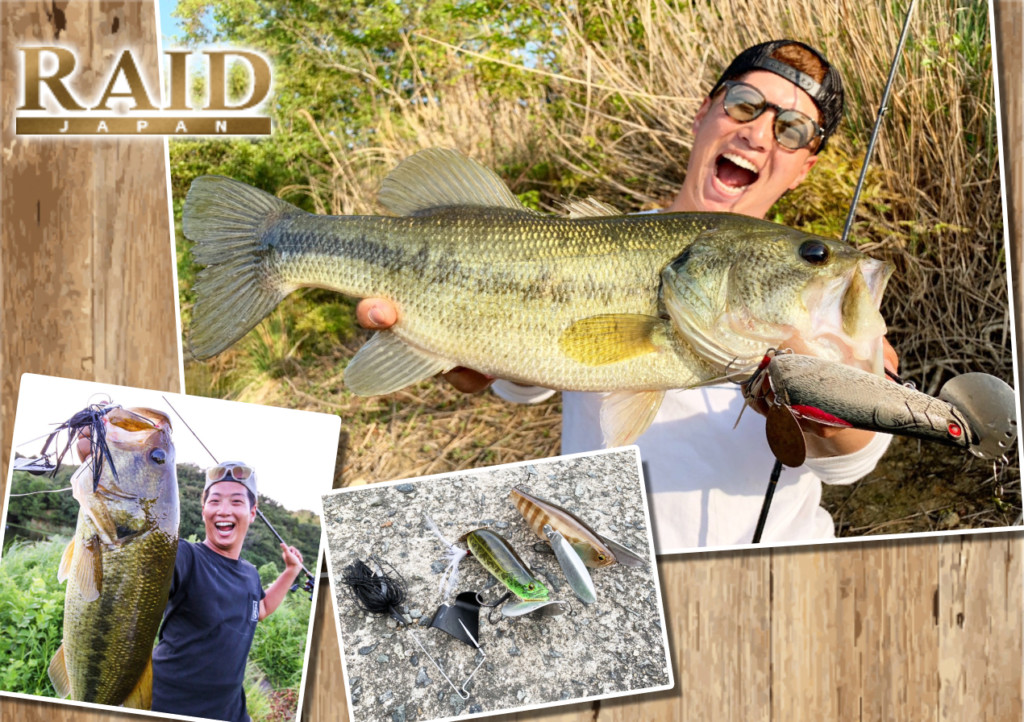 レイドジャパン大好きセット backlash_y-4573607300201