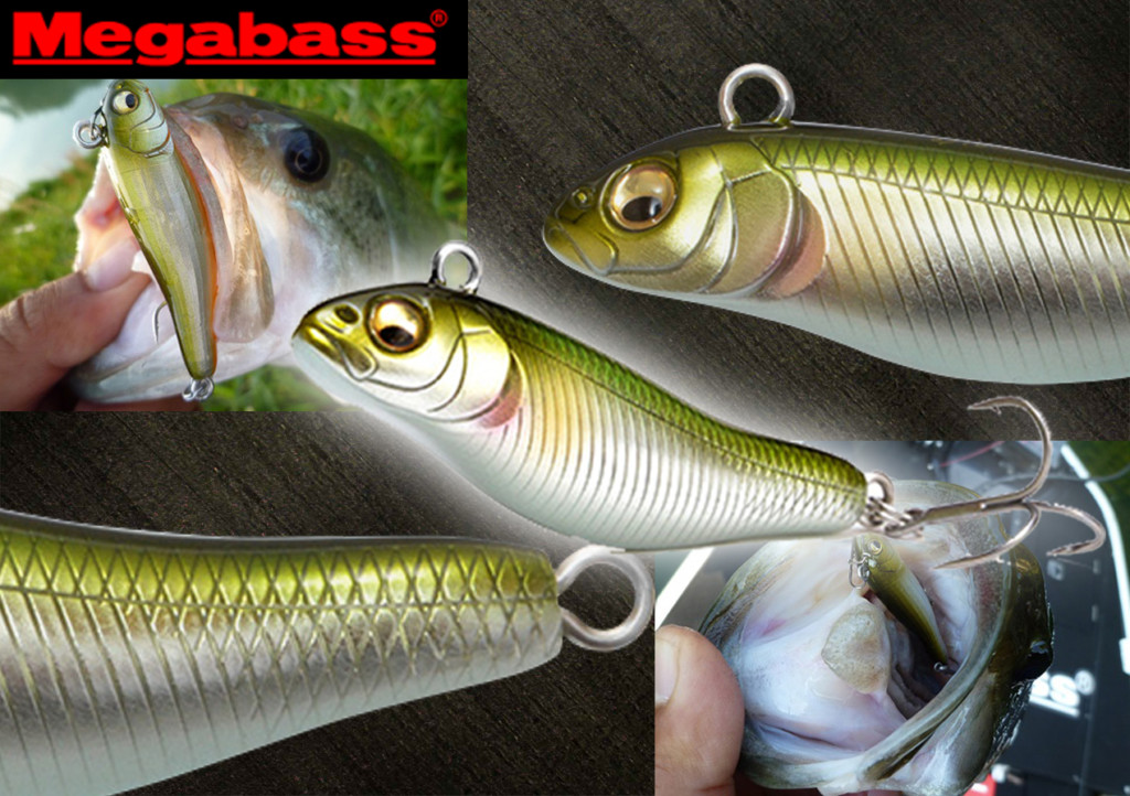 ルアー・フライ Megabass TYPE X 楽天市場】メガバス タイプエックス Megabass TYPE-X : Lure＆Boats