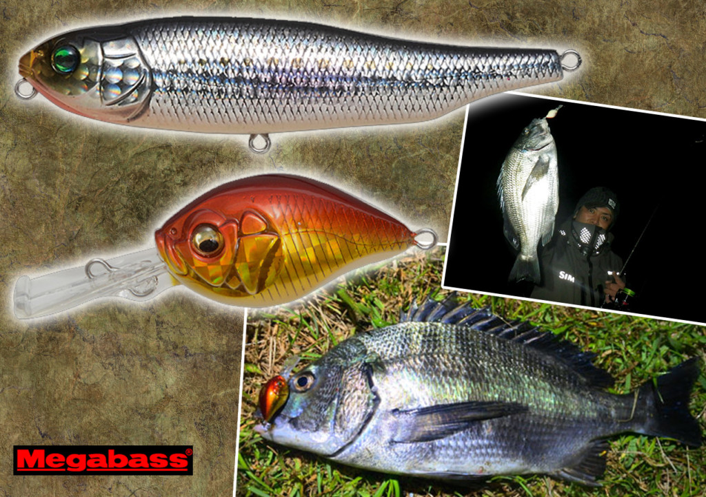 メガバス 黒鯛ポップX リミテッド ジャイアントドックX SW ルアー 釣り メガバス 黒鯛ポップX リミテッド ジャイアントドックX SW