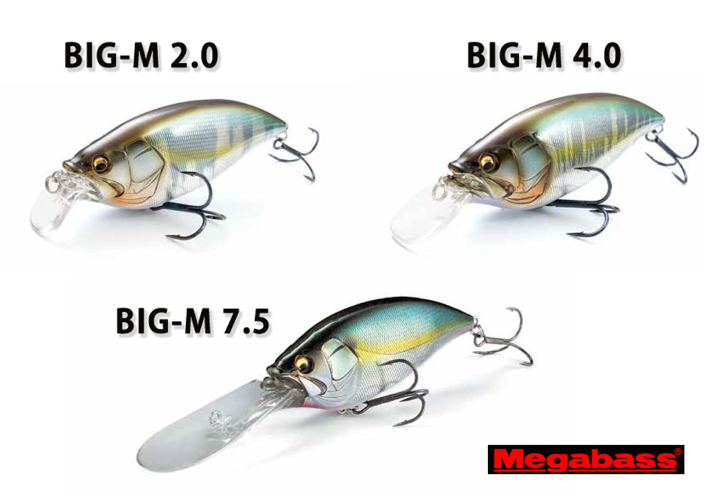 メガバスのマグナムクランク「BIG-M」シリーズがシャロータイプ