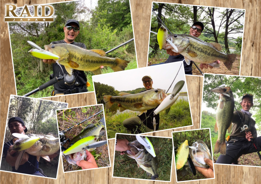 梅雨シーズンの今投げるべき】一発狙うにはコレ！レイドジャパンの