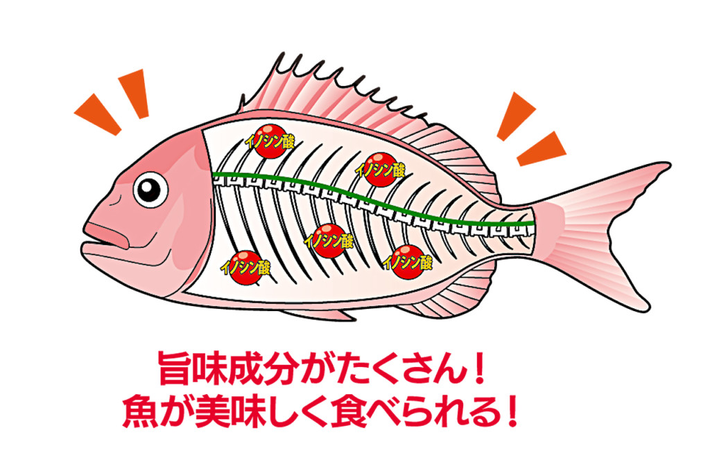 魚の神経・血抜きセット 釣り 魚 血抜き 神経締め 【公式通販】