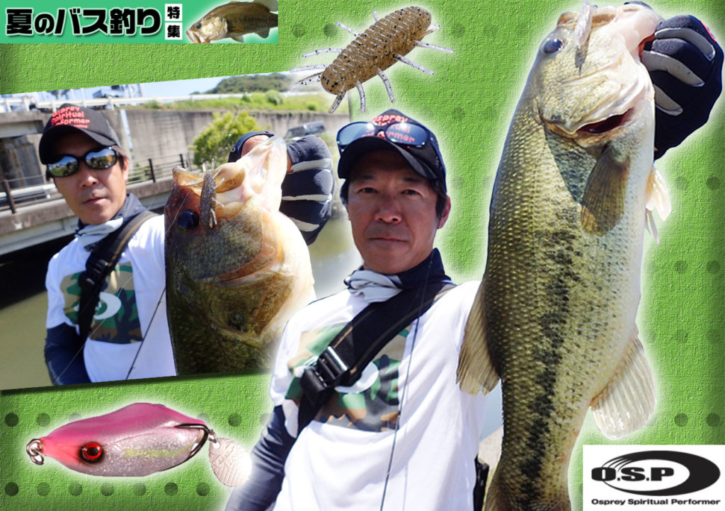 夏バス攻略法を大公開】エビを喰うバスにはコレ！浦川正則がエビ