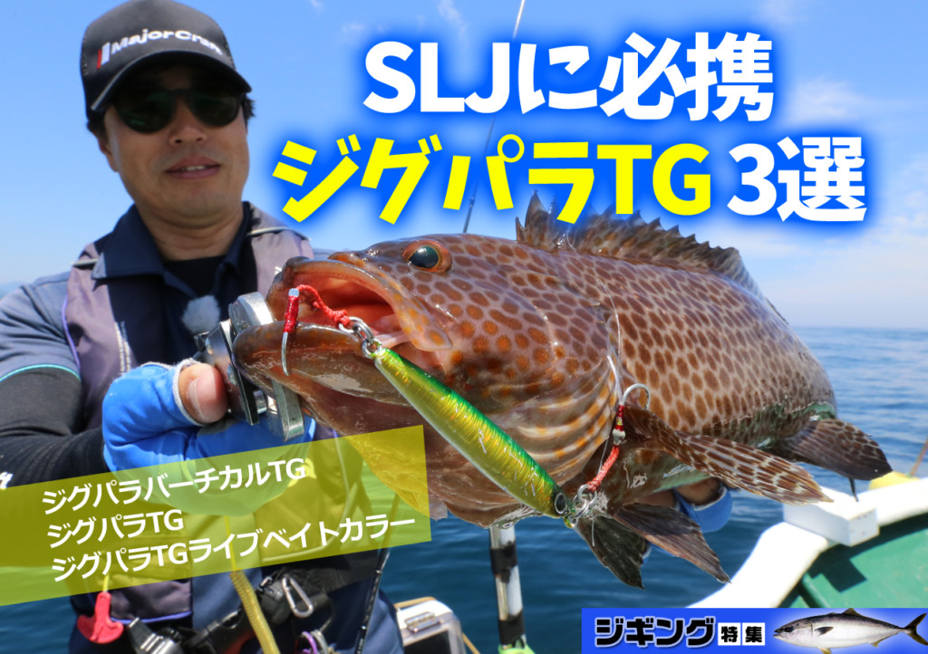 TGジグまとめ売り　バラ不可 ジグパラバーチカルTGの新色は…】タチウオやブレードジギングに