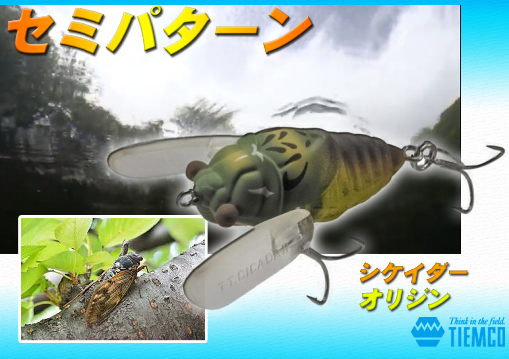 羽＋虫のセミ型ルアー！バスを浮かして食わせるティムコのシケイダー