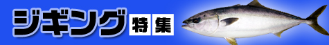 ジギング特集
