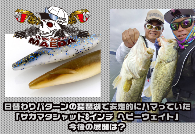 deps SAKAMATA SHAD（サカマタシャッド）ヘビーウェイト