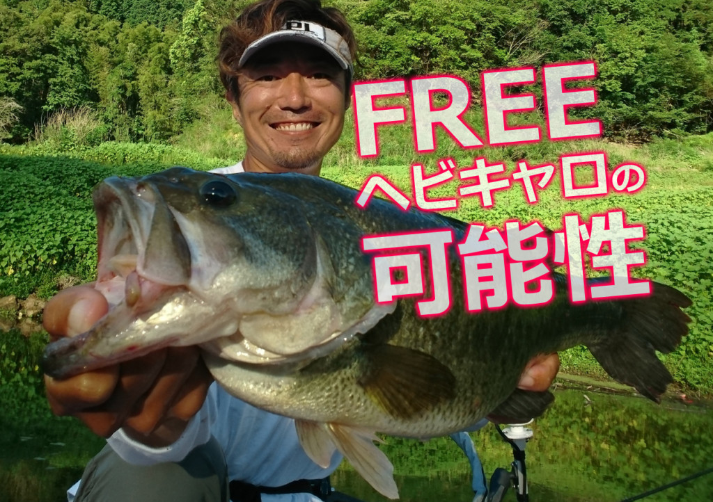 バスフィッシング テキサス ヘビキャロにお勧めです。