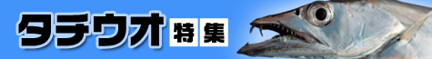 タチウオ特集2020