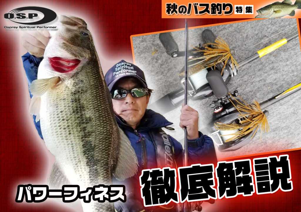 バス釣り引退 ブレイゾン レガリス OSP デプス パワーフィネス