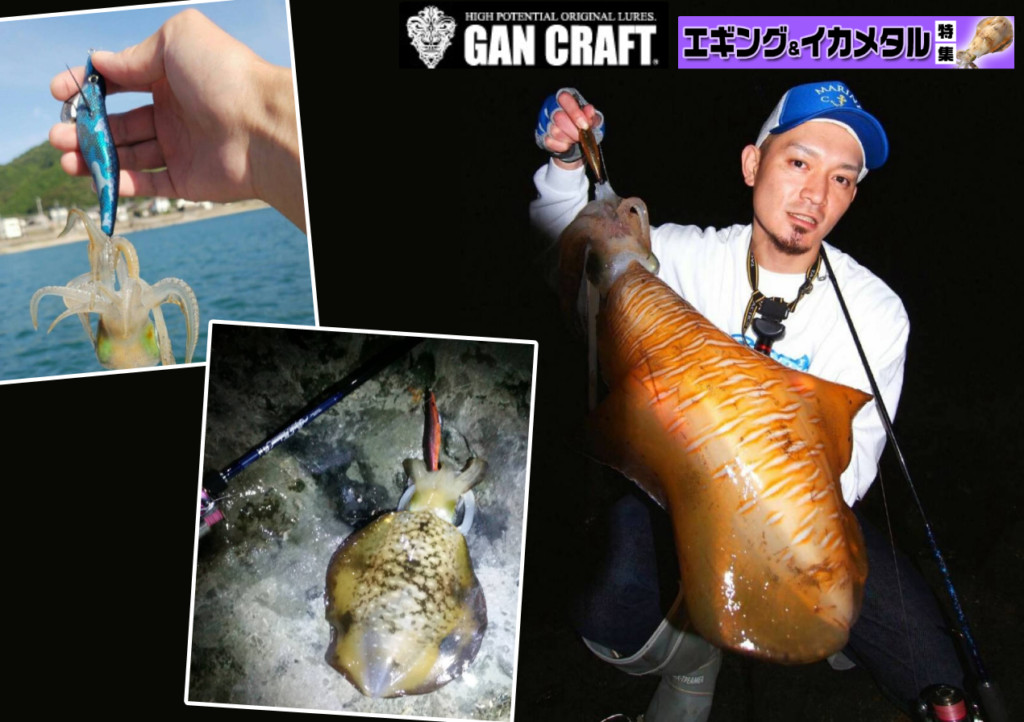 秋の南紀オカッパリエギング】ガンクラフト那須輝希のデイ