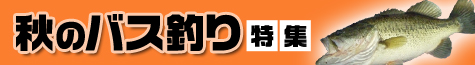 秋のバス釣り特集2020