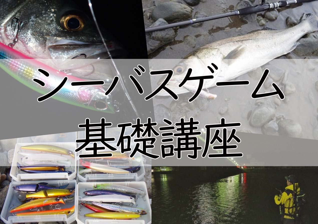 オフショア、シーバスゲーム タックル/ルアー/ポイント選びなど】実は簡単で超楽しい！シーバス