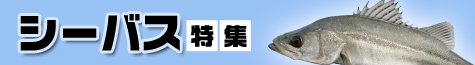 シーバス特集2020