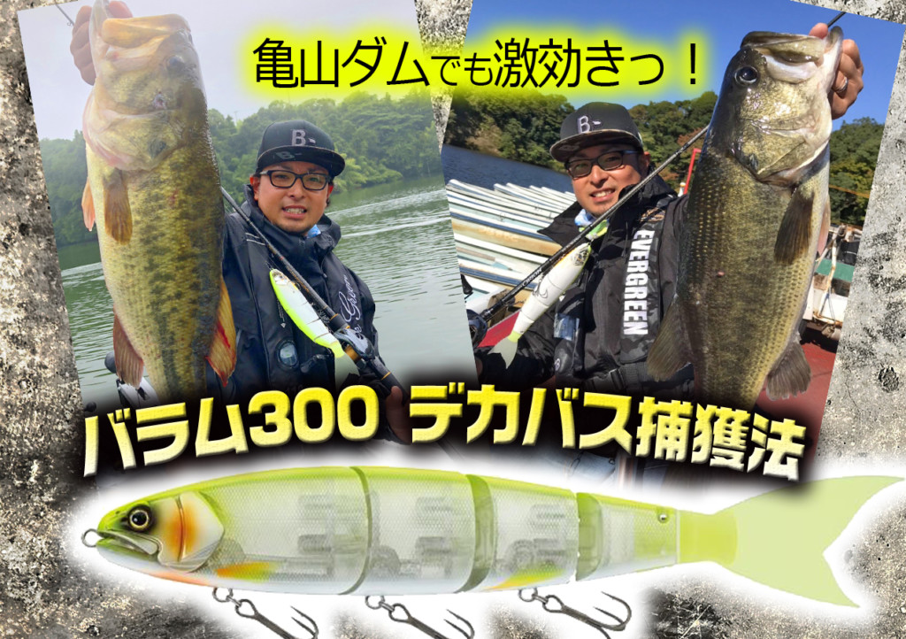 マドネス バラム300 菊本ハス 実釣1回使用｜フィッシング