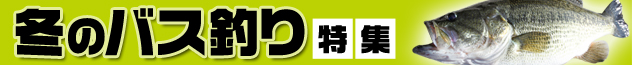 冬のバス釣り特集2020