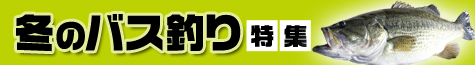 冬のバス釣り特集2020